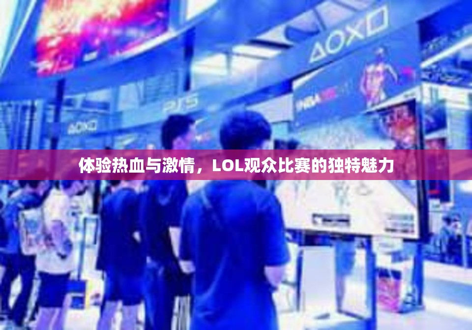 体验热血与激情，LOL观众比赛的独特魅力