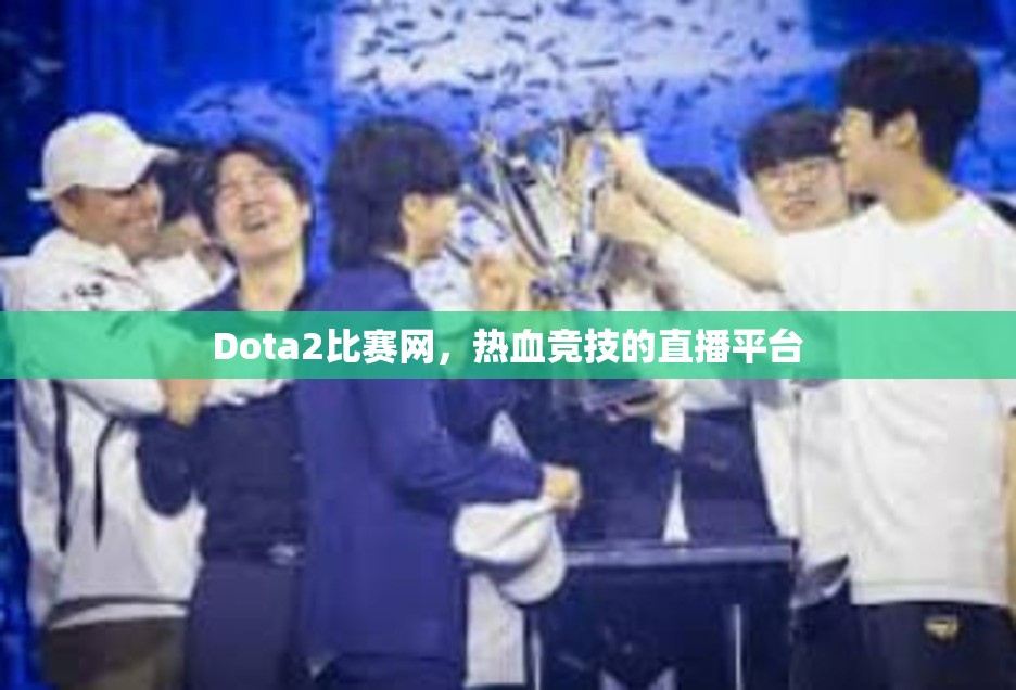 Dota2比赛网，热血竞技的直播平台