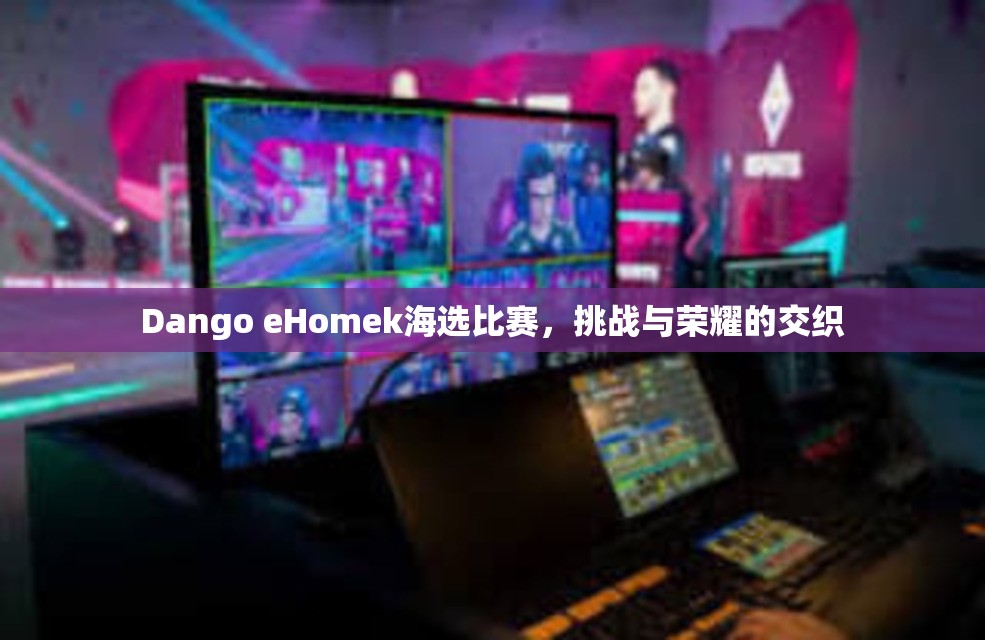 Dango eHomek海选比赛，挑战与荣耀的交织